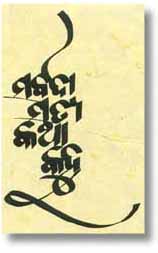 Untitled Document [www.colorsofindia.com]